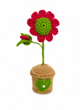 Heart in Bloom handcrafted crochet floral keepsake with crimson daisy and heart pot