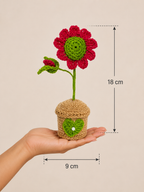 Heart in Bloom – Handcrafted Crochet Floral Keepsake