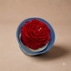 Premium scented red rose soy candle in a colourful blue jar